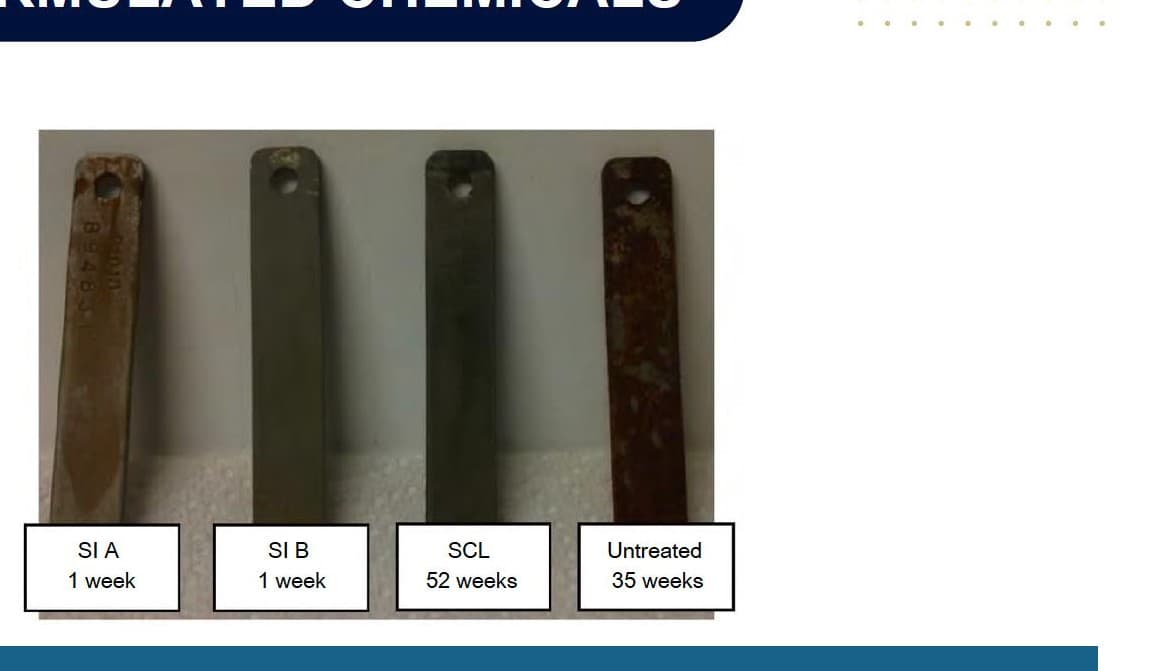 Coupon panel: SI A (1 wk) · SI B (1 wk) · SCL 8054 (52 wk) · untreated (35 wk)